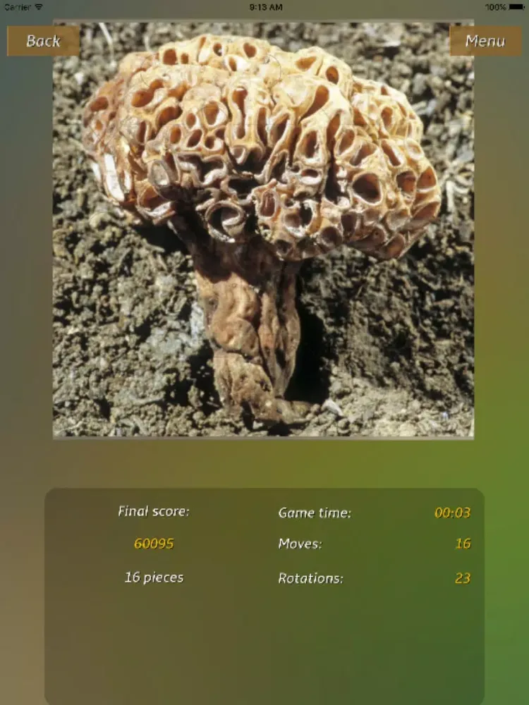Captures d'écran de Mushrooms Jigsaw Puzzles iPad 