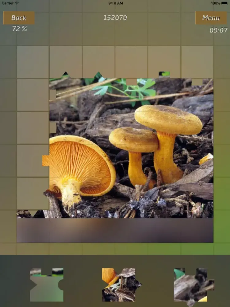 Captures d'écran de Mushrooms Jigsaw Puzzles iPad 