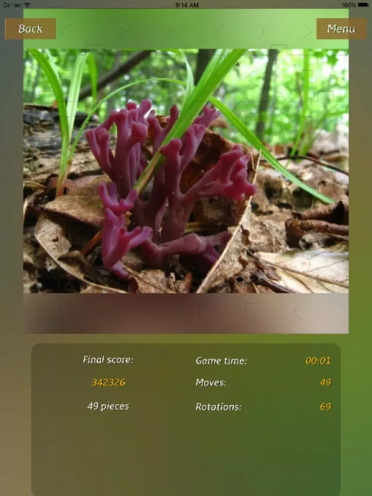Captures d'écran de Mushrooms Jigsaw Puzzles iPad 
