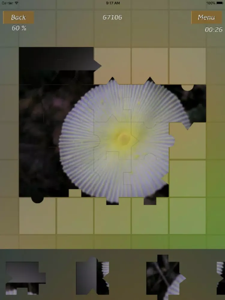 Captures d'écran de Mushrooms Jigsaw Puzzles iPad 
