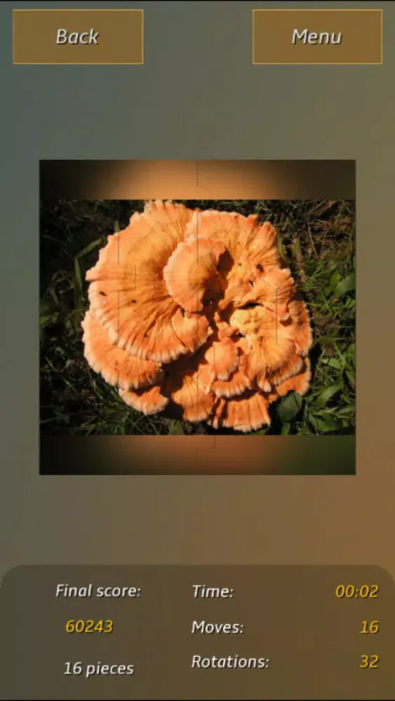 Captures d'écran de Mushrooms Jigsaw Puzzles