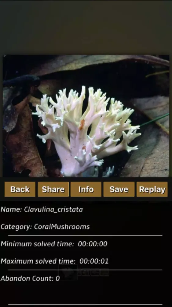 Captures d'écran de Mushrooms Jigsaw Puzzles