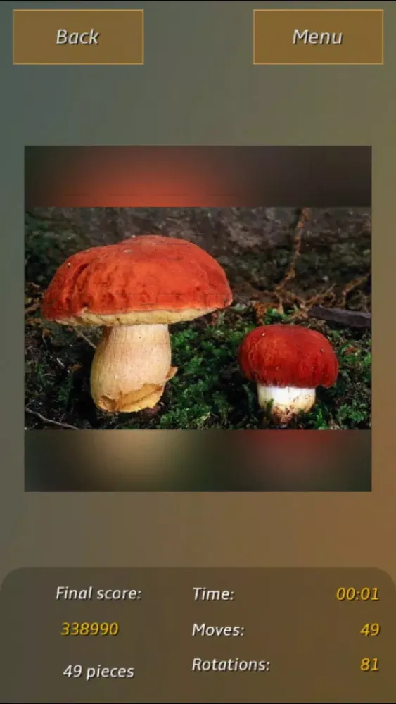 Captures d'écran de Mushrooms Jigsaw Puzzles
