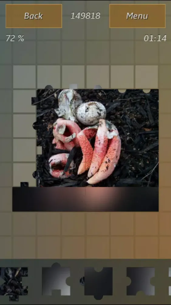 Captures d'écran de Mushrooms Jigsaw Puzzles