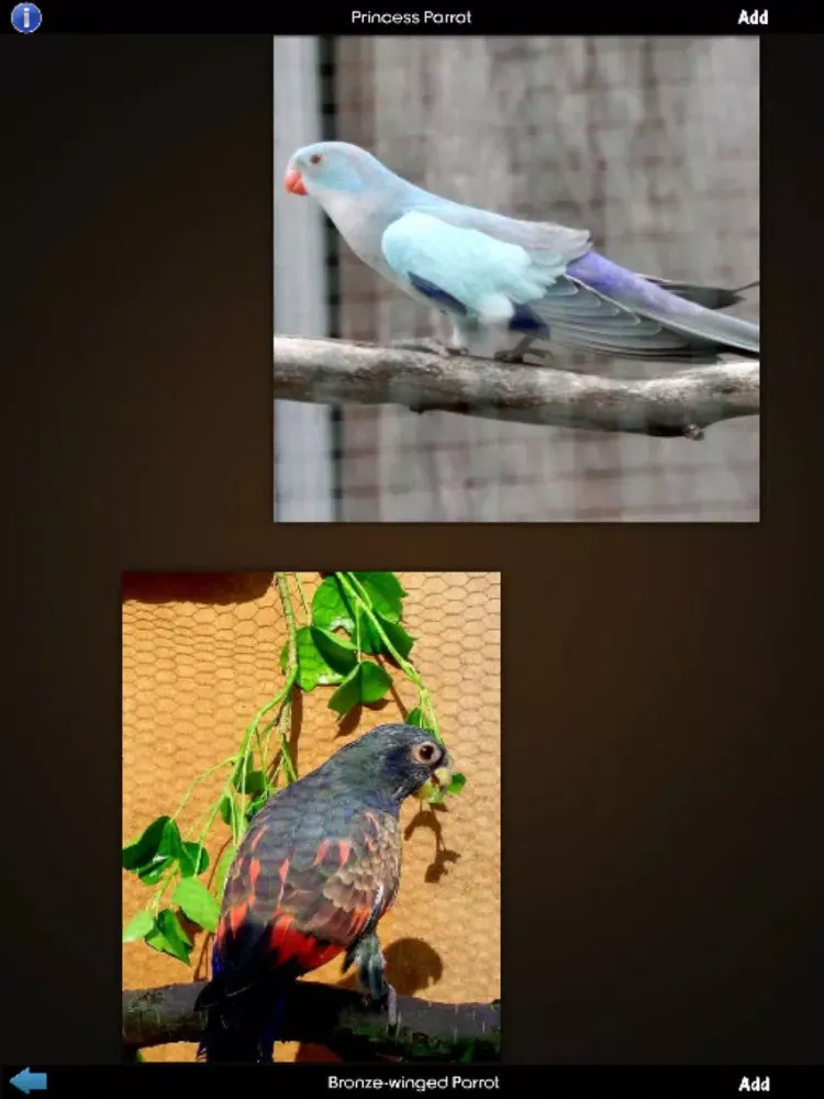 Zrzuty ekranu Parrot Species Guide iPad 