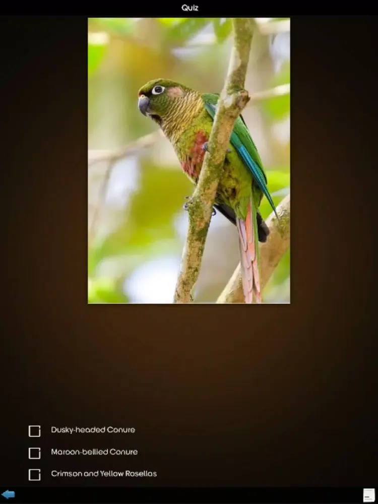Zrzuty ekranu Parrot Species Guide iPad 