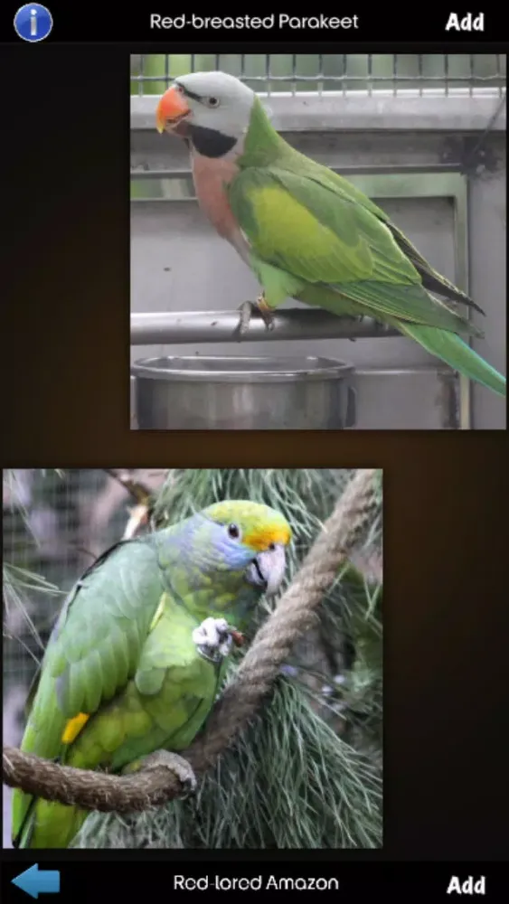 Zrzuty ekranu Parrot Species Guide