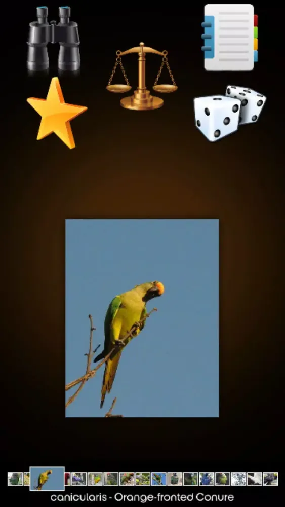 Zrzuty ekranu Parrot Species Guide