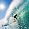 Surfing Gallery