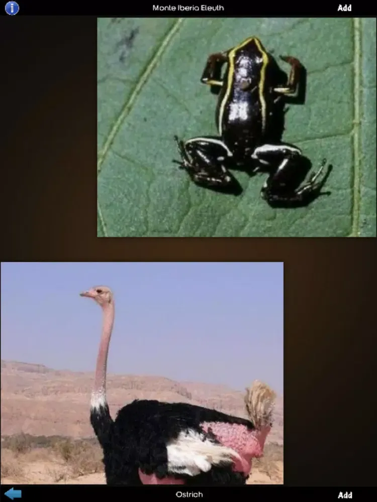 Capturas de pantalla de Animals Wiki iPad 