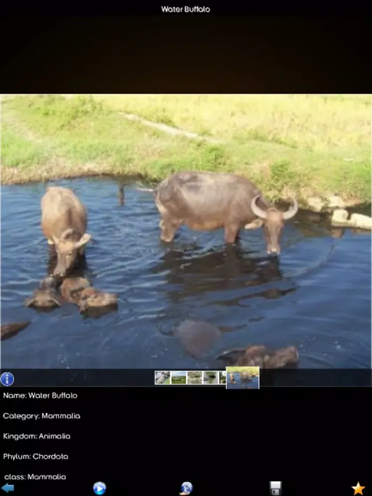 Capturas de pantalla de Animals Wiki iPad 