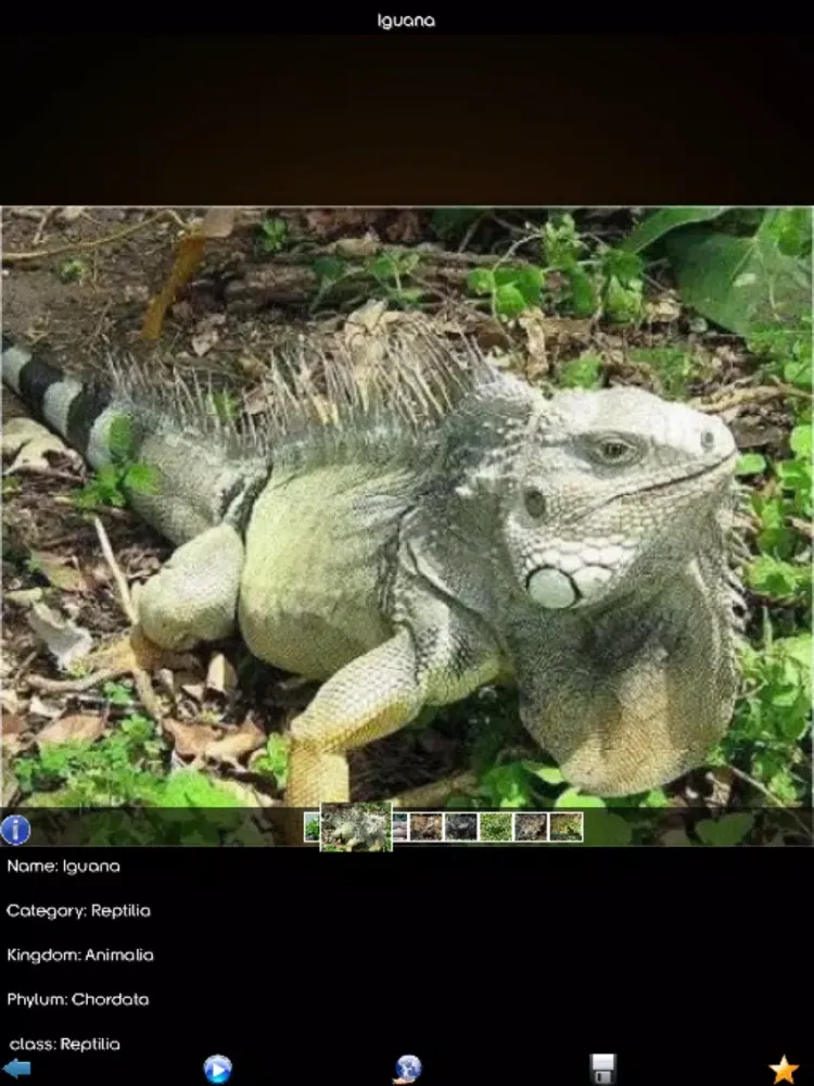 Capturas de pantalla de Animals Wiki iPad 