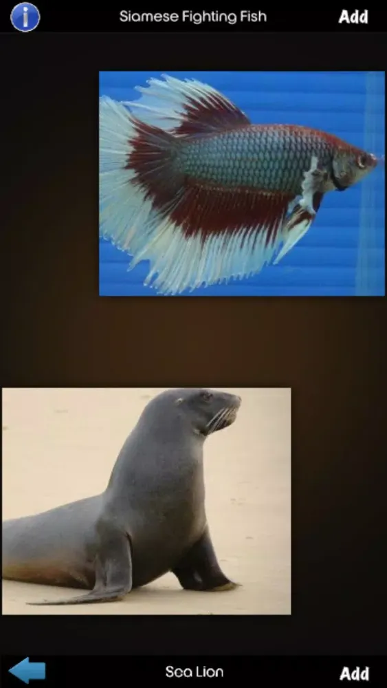 Capturas de pantalla de Animals Wiki