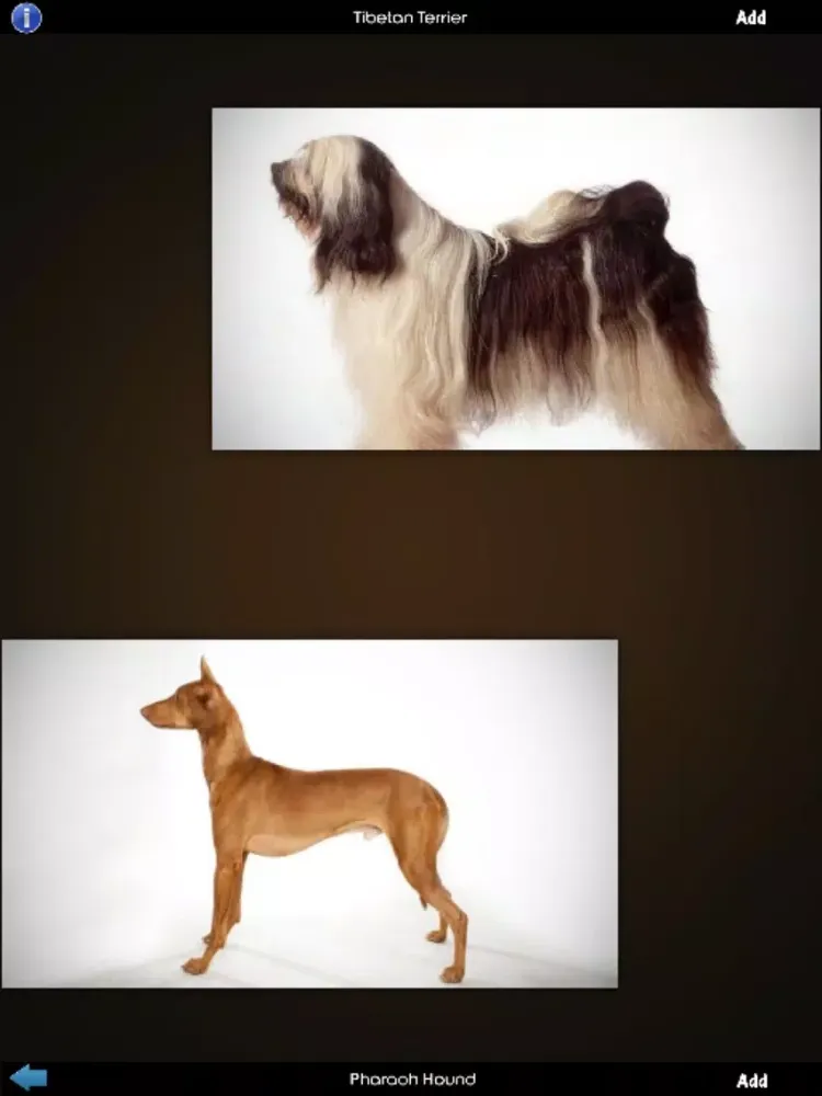 World Of Dog iPad  Screenshots
