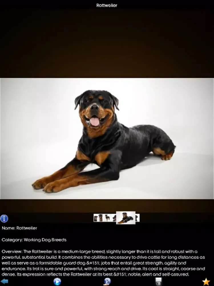 World Of Dog iPad  Screenshots