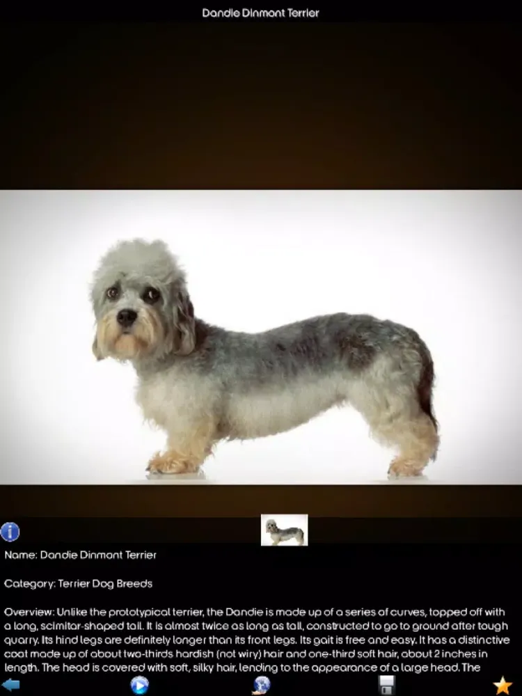 World Of Dog iPad  Screenshots