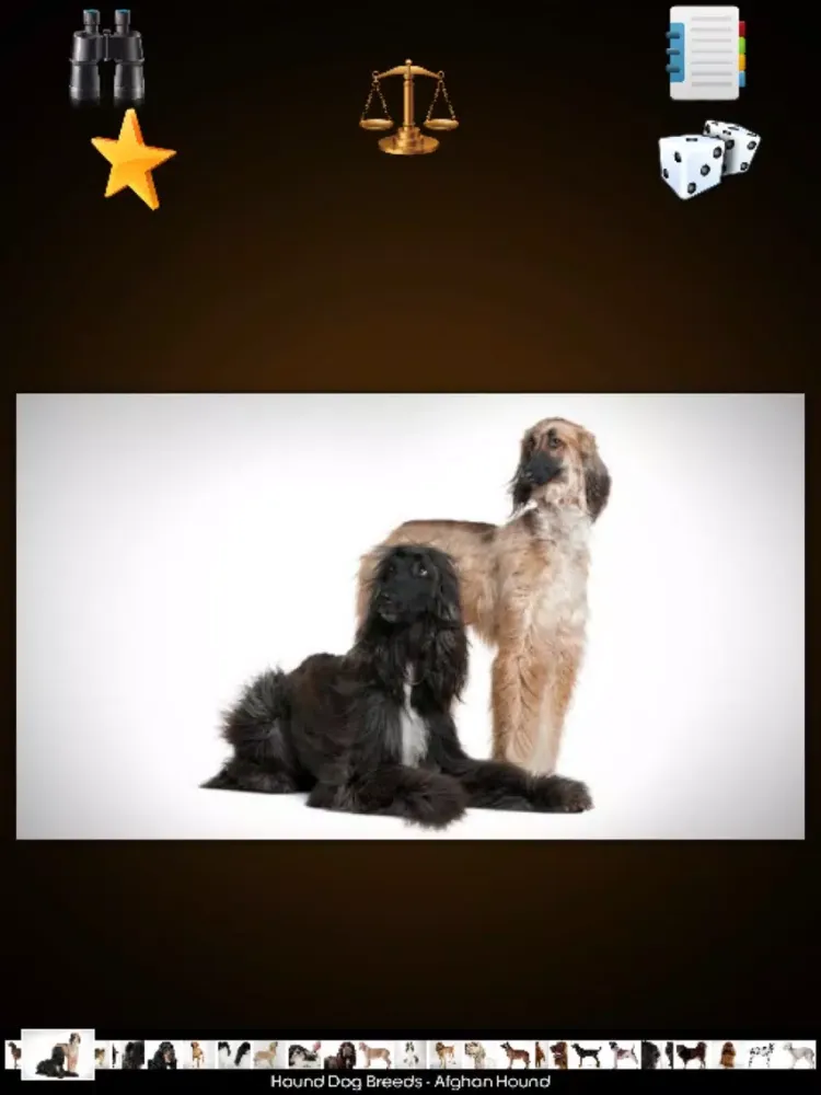 World Of Dog iPad  Screenshots
