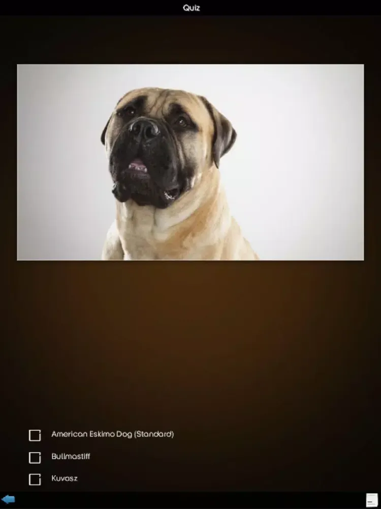 World Of Dog iPad  Screenshots