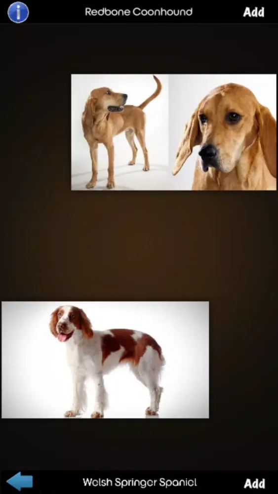 World Of Dog Screenshots