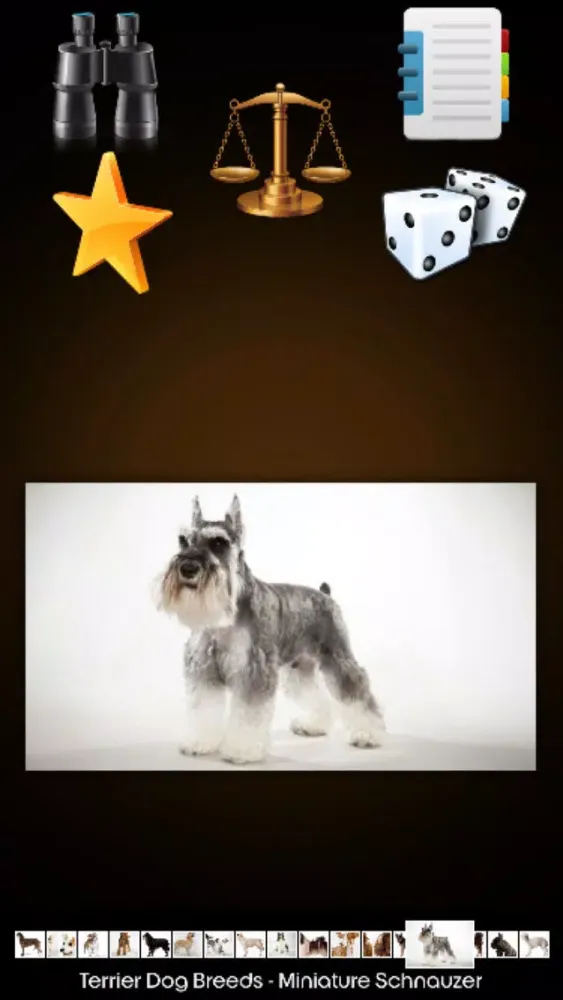 World Of Dog Screenshots