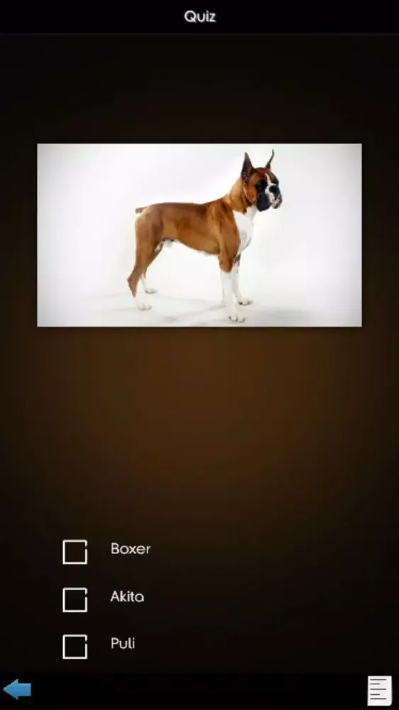 World Of Dog Screenshots