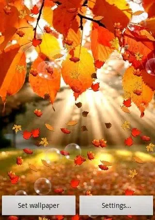 Autumn Free Live Wallpaper應用截圖