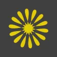 Lemonsoape Ministries