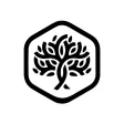 Austin Life Church
