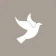 Calvary Full Gospel Church Calvary Full Gospel Church