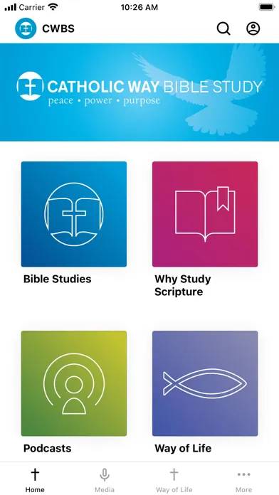 Catholic Way Bible Study スクリーンショット