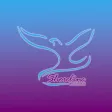 Shoreline Church – CT Shoreline Church – CT