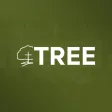Tree of Life Church, NB