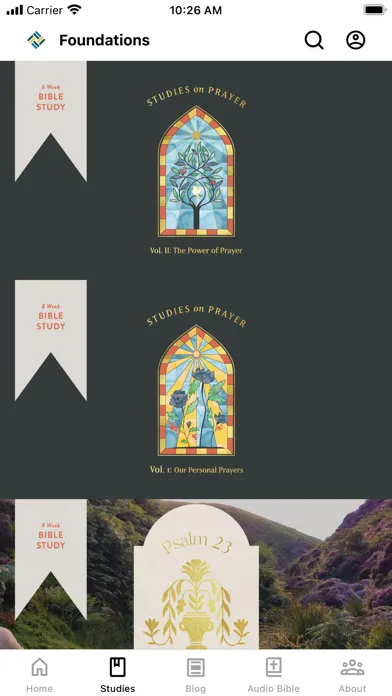 Foundations Bible Studies স্ক্রিনশট