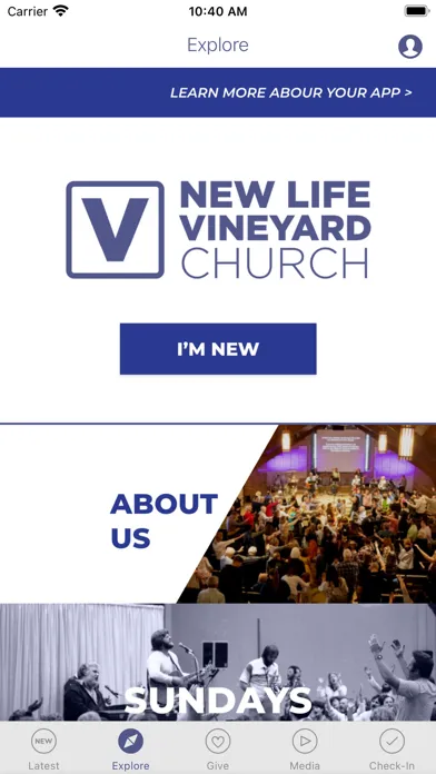 Скриншоты New Life Vineyard