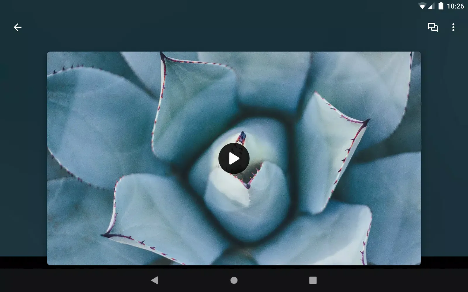 Esther 4:14 Ministries Screenshots