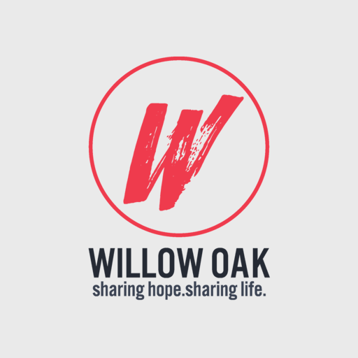 Willow Oak