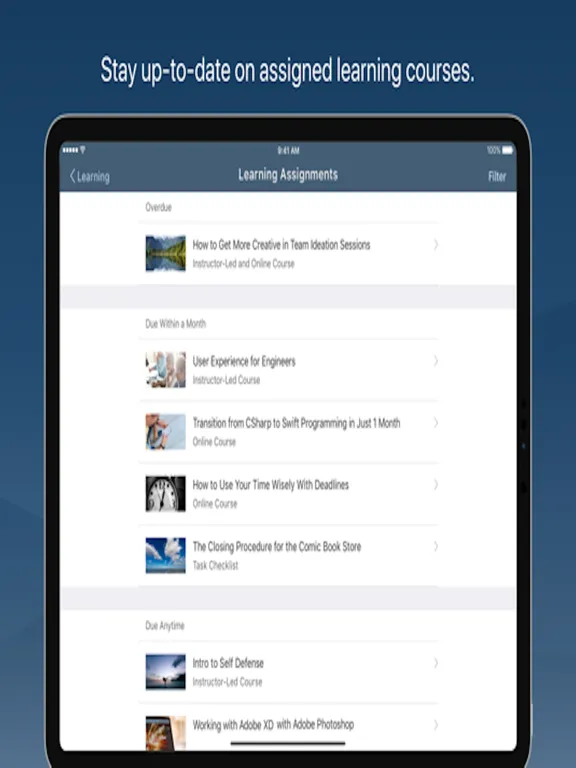 SAP Validated Learning Preview iPad  Screenshots