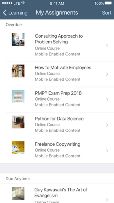 SAP Validated Learning Preview Screenshots