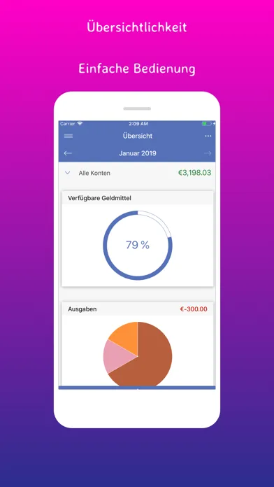 SayMoney Pro - Your finances应用截图