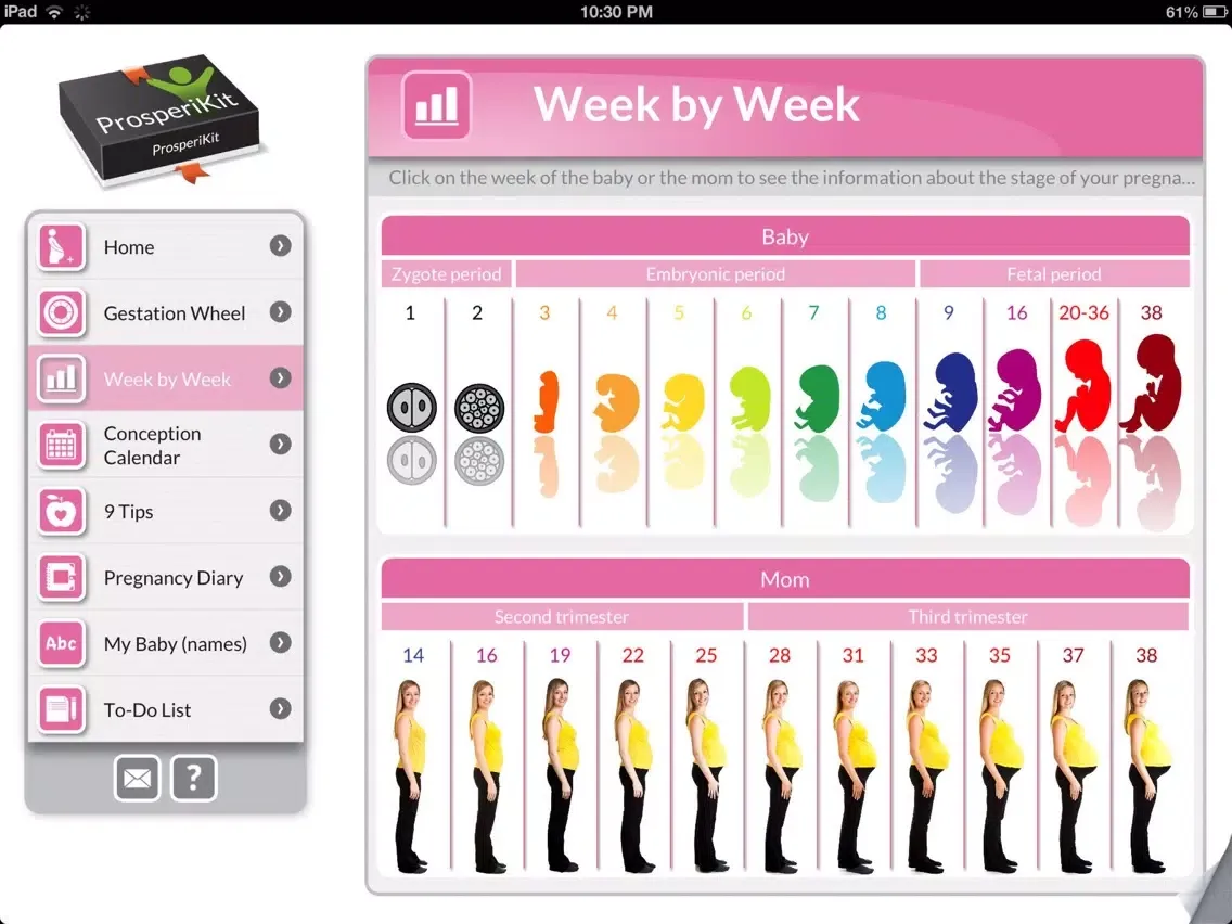 Screenshot di My Pregnancy: To follow & enjoy your pregnancy iPad 