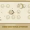 Cheese Quest Mouse Adventure