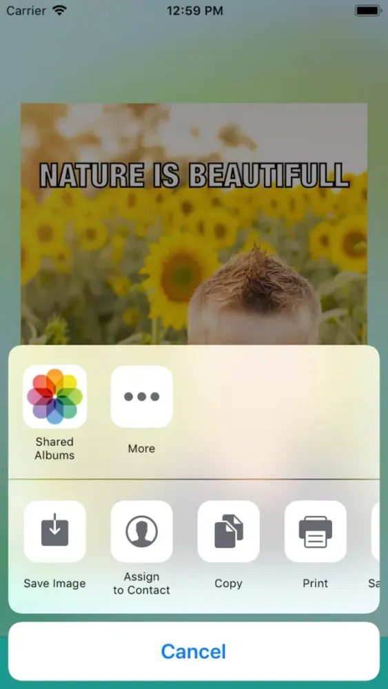 Captures d'écran de PicMeme - Photo Meme Maker