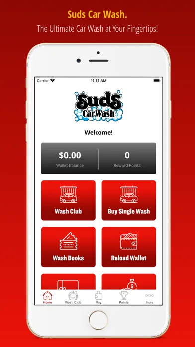 Suds Car Wash স্ক্রিনশট