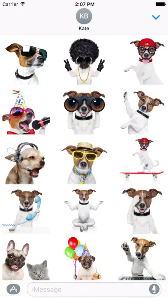 Rock n Roll - Dog Edition Ekran Görüntüleri