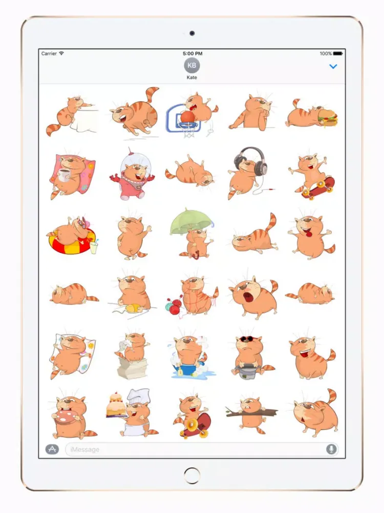 Tangkapan skrin Big Fat Cat iPad 