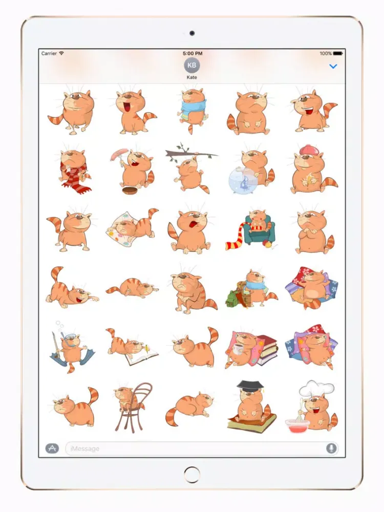 Tangkapan skrin Big Fat Cat iPad 