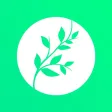Nuova cosmesi Nuova cosmesi
