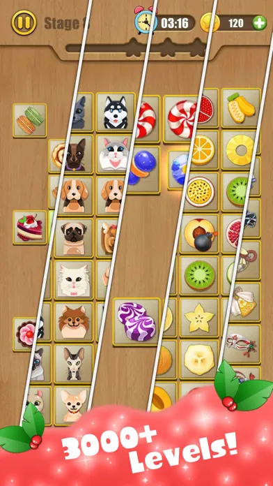 Capturas de tela do Connect Master Puzzle