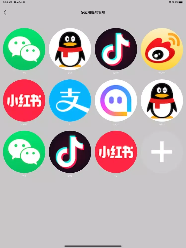 Capturas de tela do 随身账号管理好帮手 iPad 