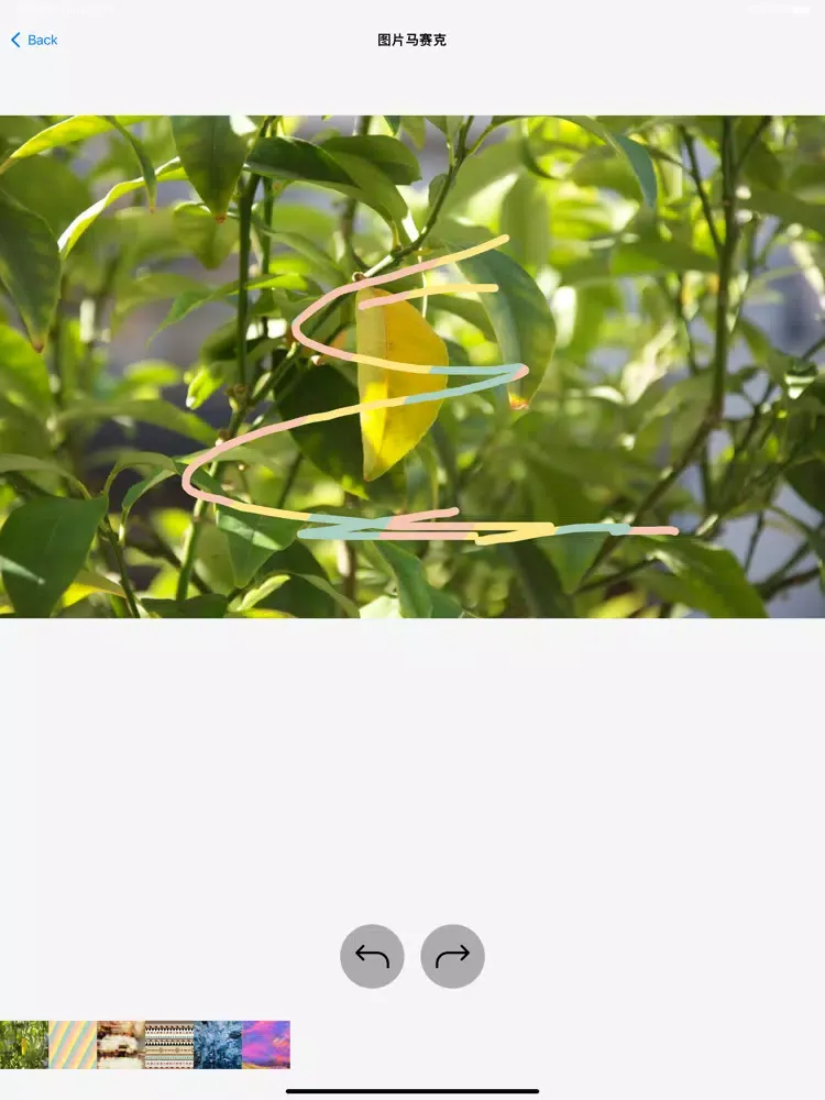 Capturas de tela do 随身账号管理好帮手 iPad 